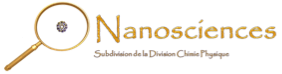 Subdivision Nanosciences
